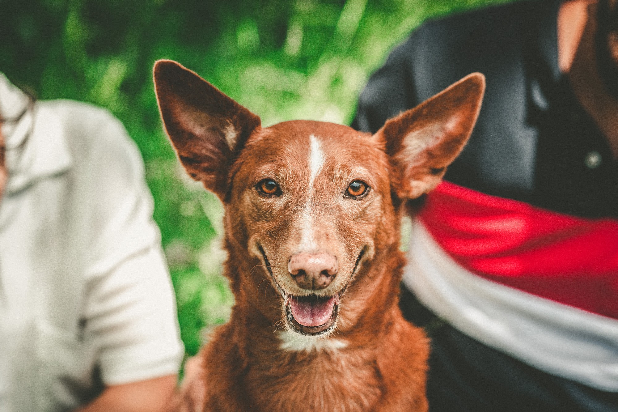 Rocio & Pablo Preboda (123)