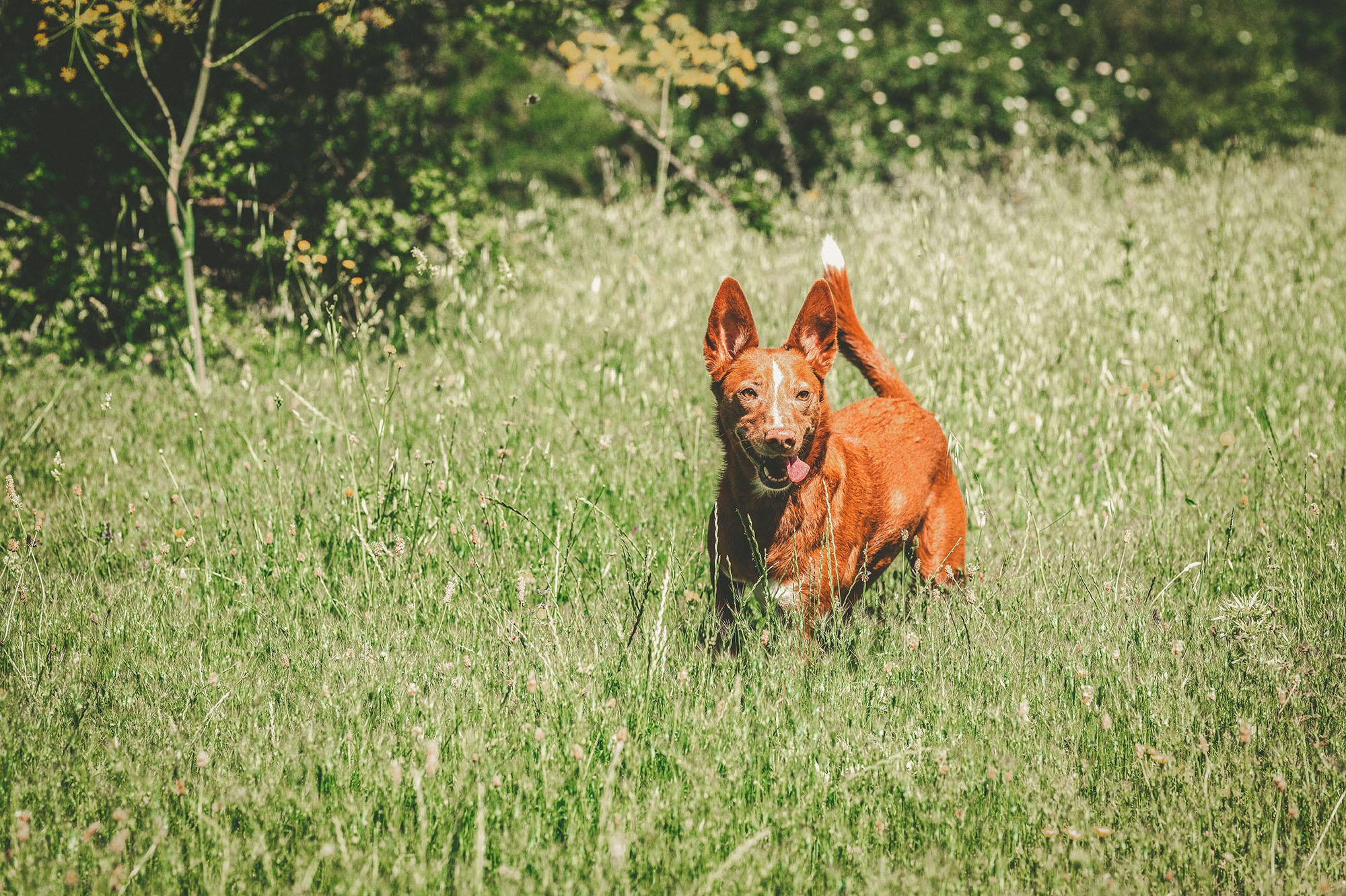 Rocio & Pablo Preboda (56)