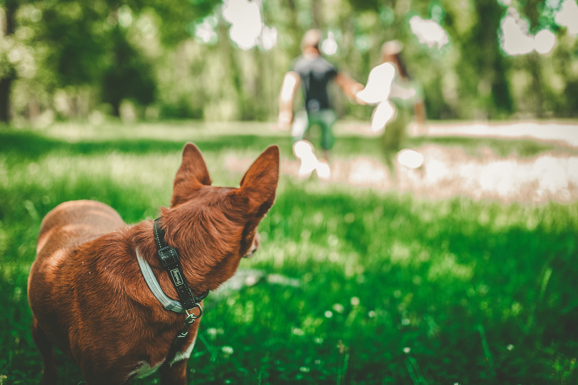 Rocio & Pablo Preboda (63)