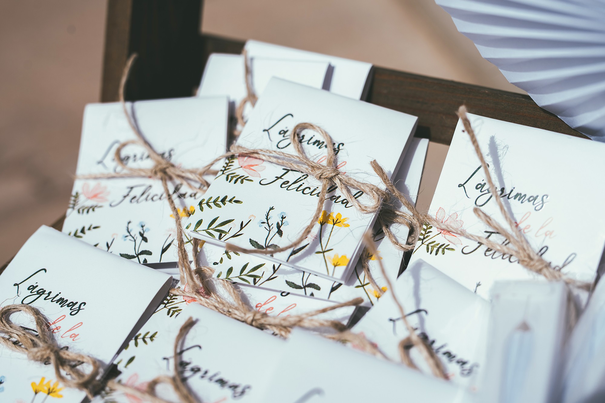 Andrea & Loren Boda (359)