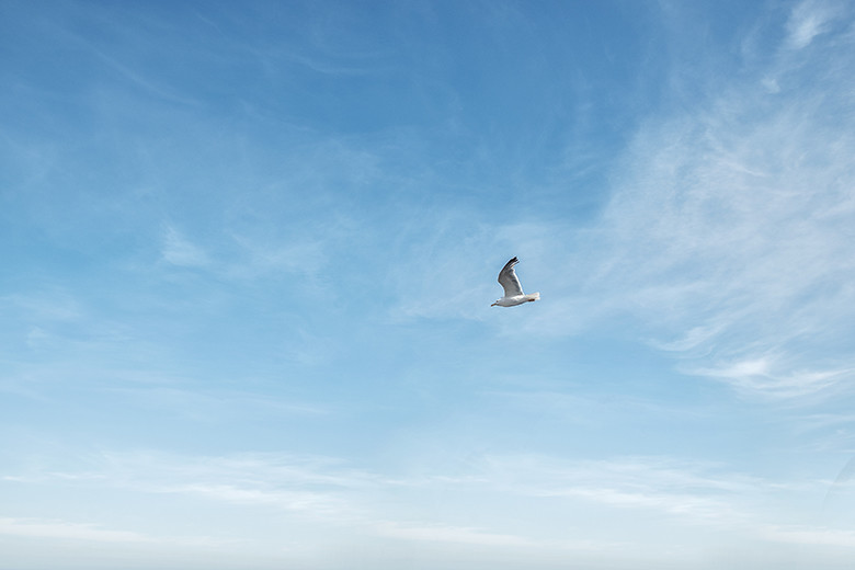 post laura+jose (40)