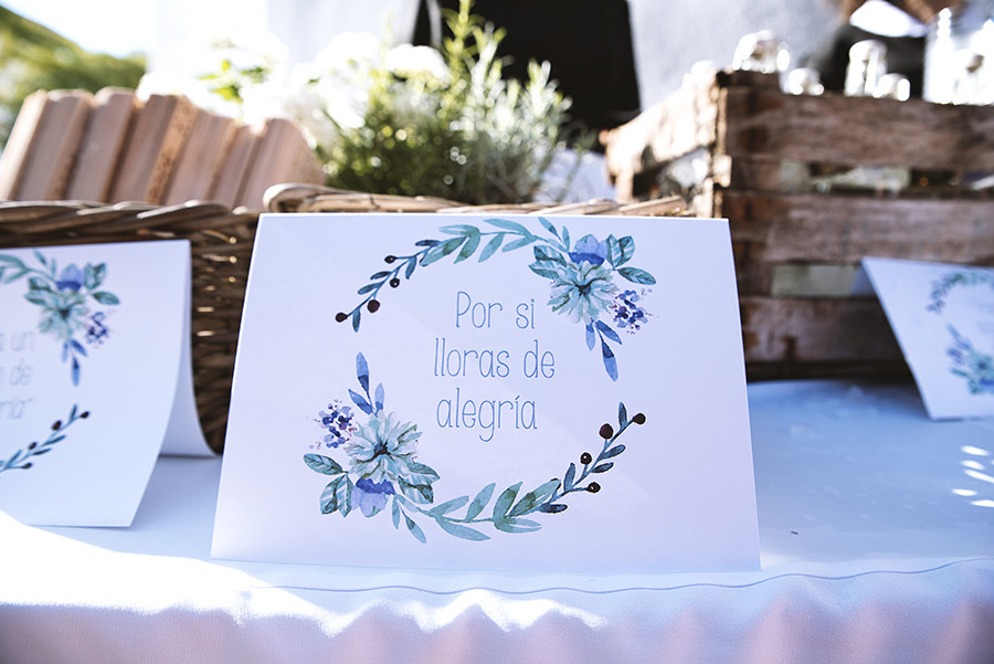 boda Ana+Juanjo (222)