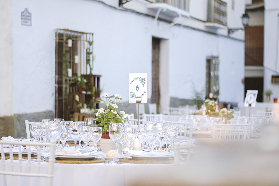 boda Ana+Juanjo (416)