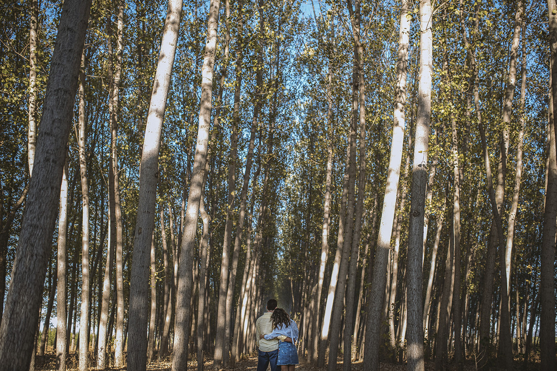 pre sofi y javi (14)