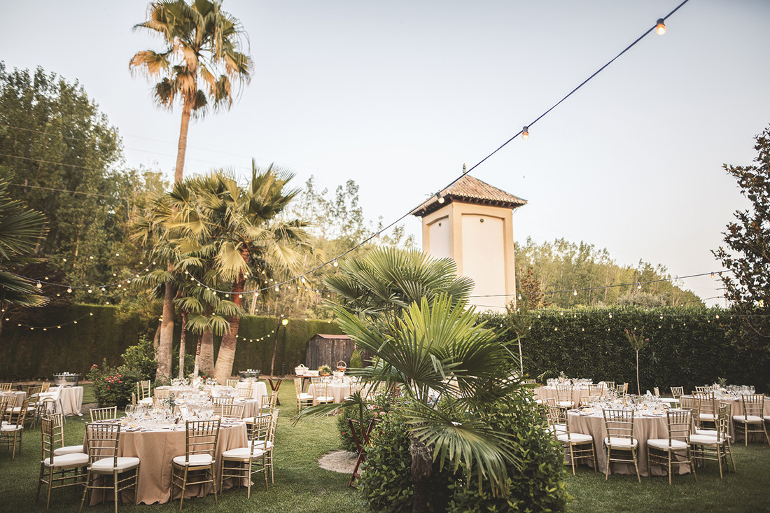 boda fran y sandra (553)