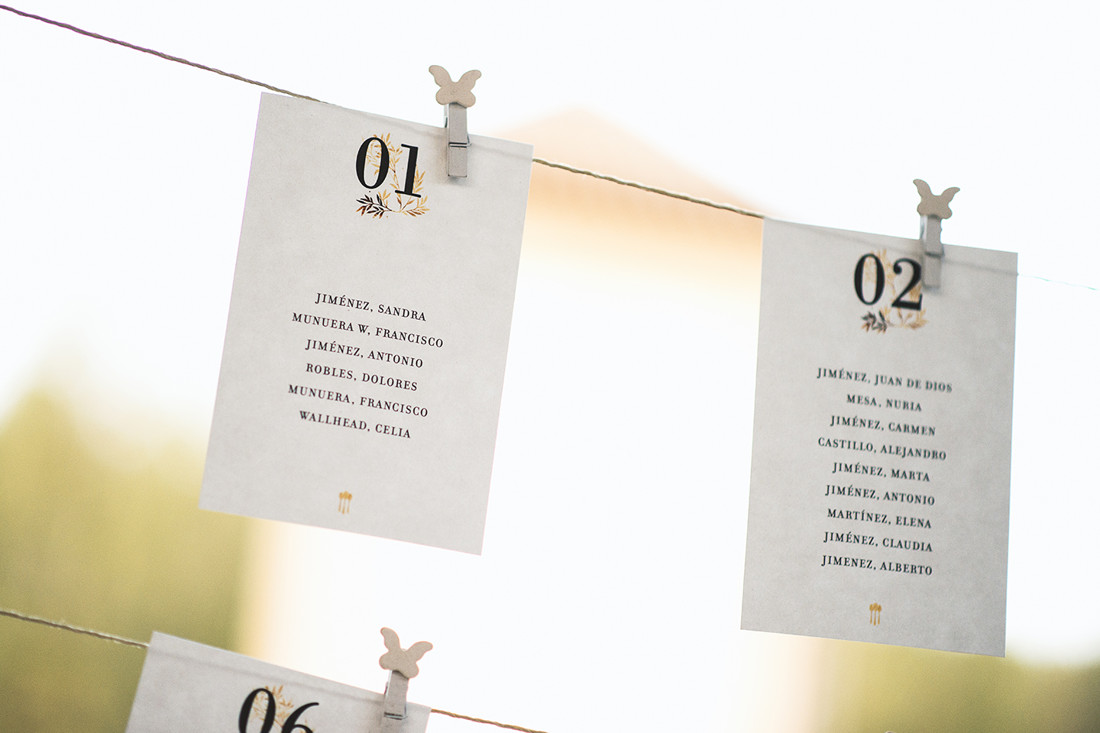 boda fran y sandra (555)