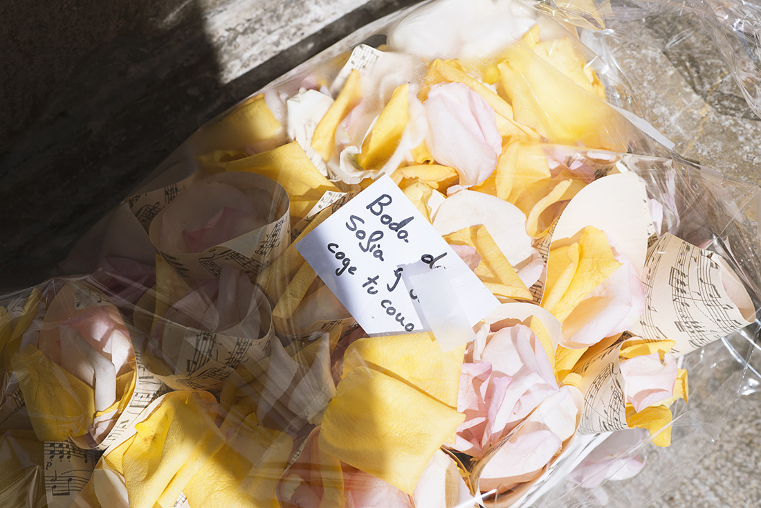 Boda Javi y Sofi (294)