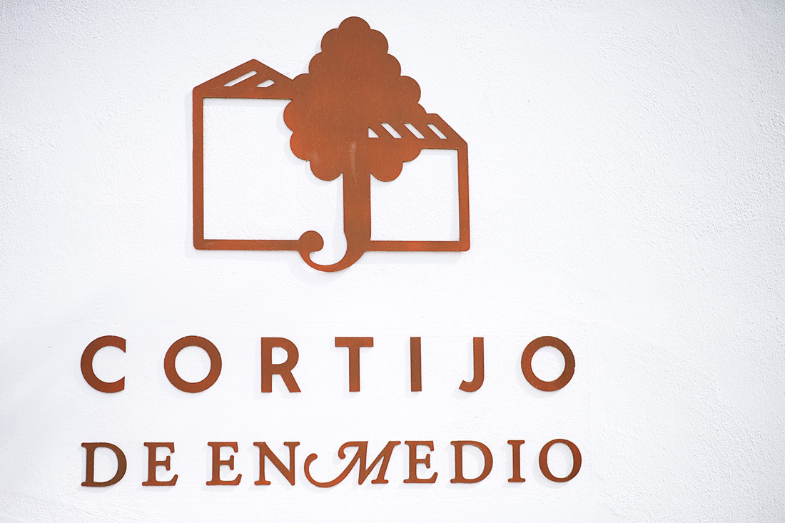 Boda Javi y Sofi (489)