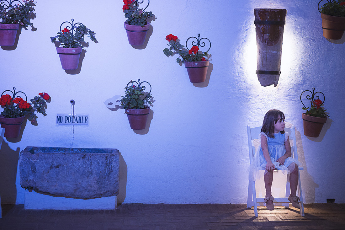 Boda Javi y Sofi (741)