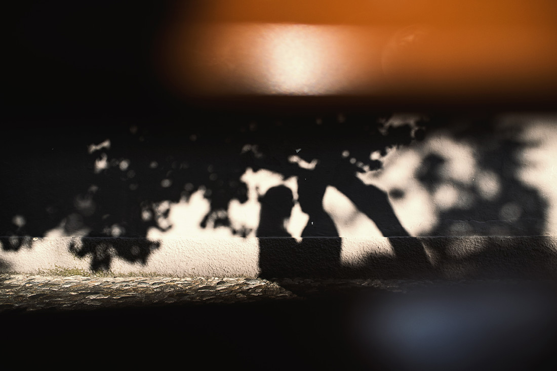 Preboda Vero y Francis (73)