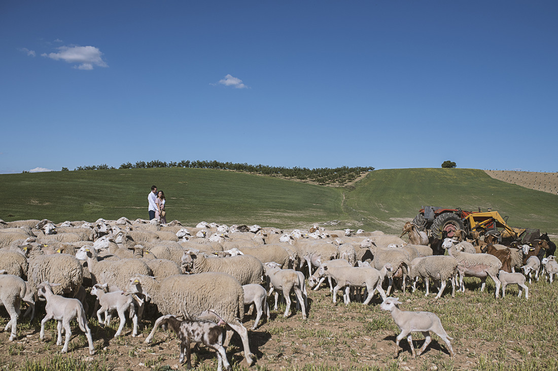 inma y dani preboda (31)