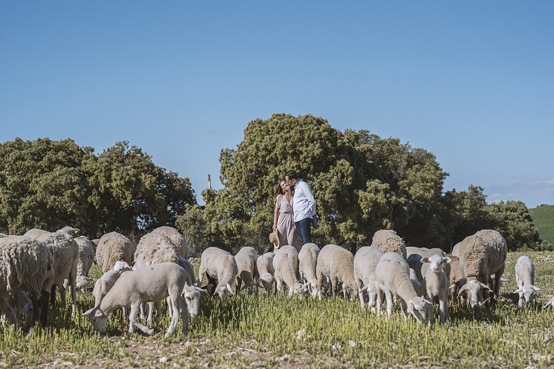 inma y dani preboda (34)
