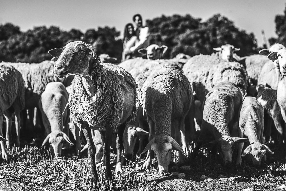 inma y dani preboda (39)