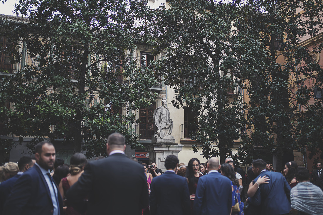 Cristina y Javier boda (278)
