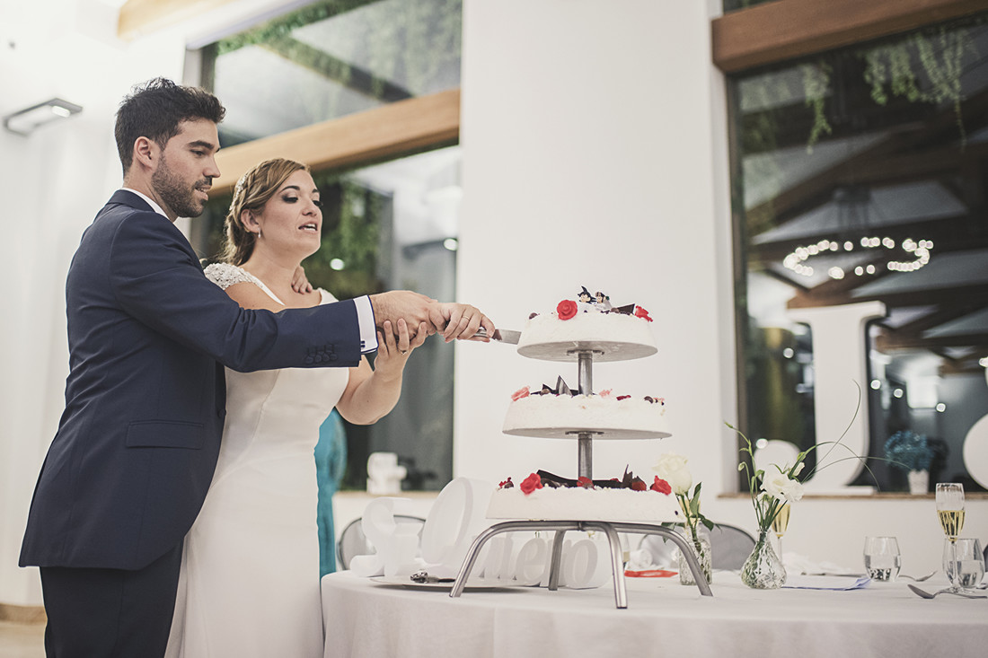 Cristina y Javier boda (695)