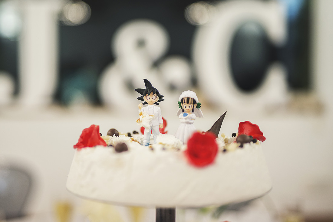 Cristina y Javier boda (700)