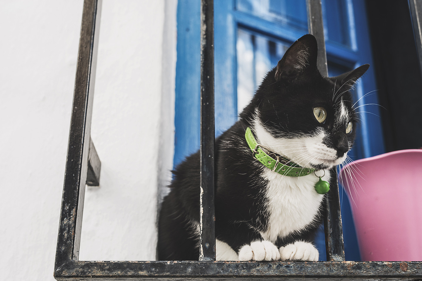 POstboda Jaime & emma (61)
