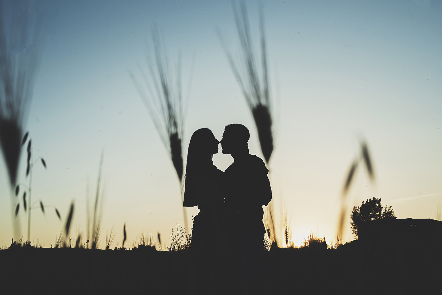 Raquel y Jesus Preboda (137)