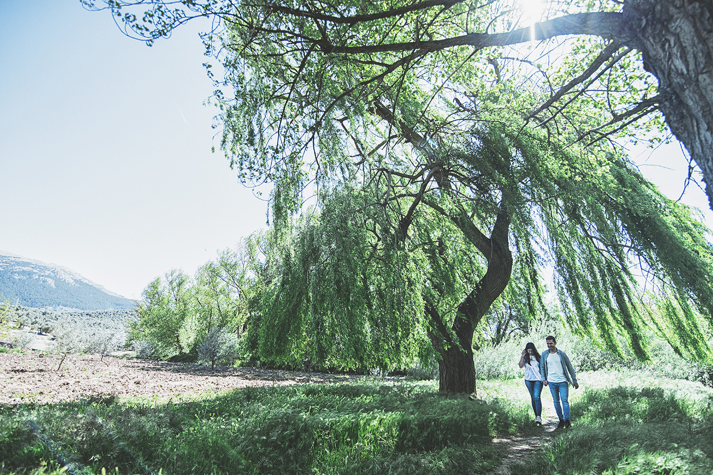 Belinda & Jose Preboda (24)