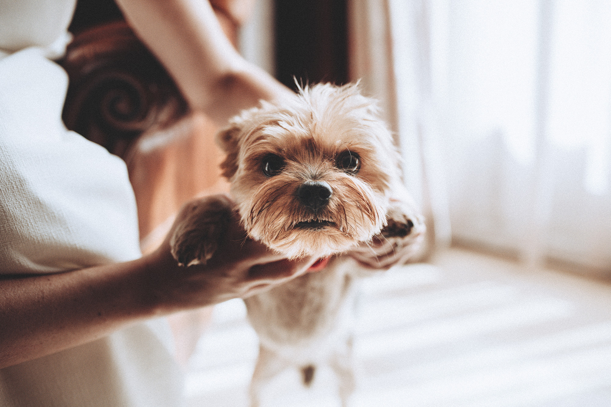 Mercedes y Jesus Boda (258)