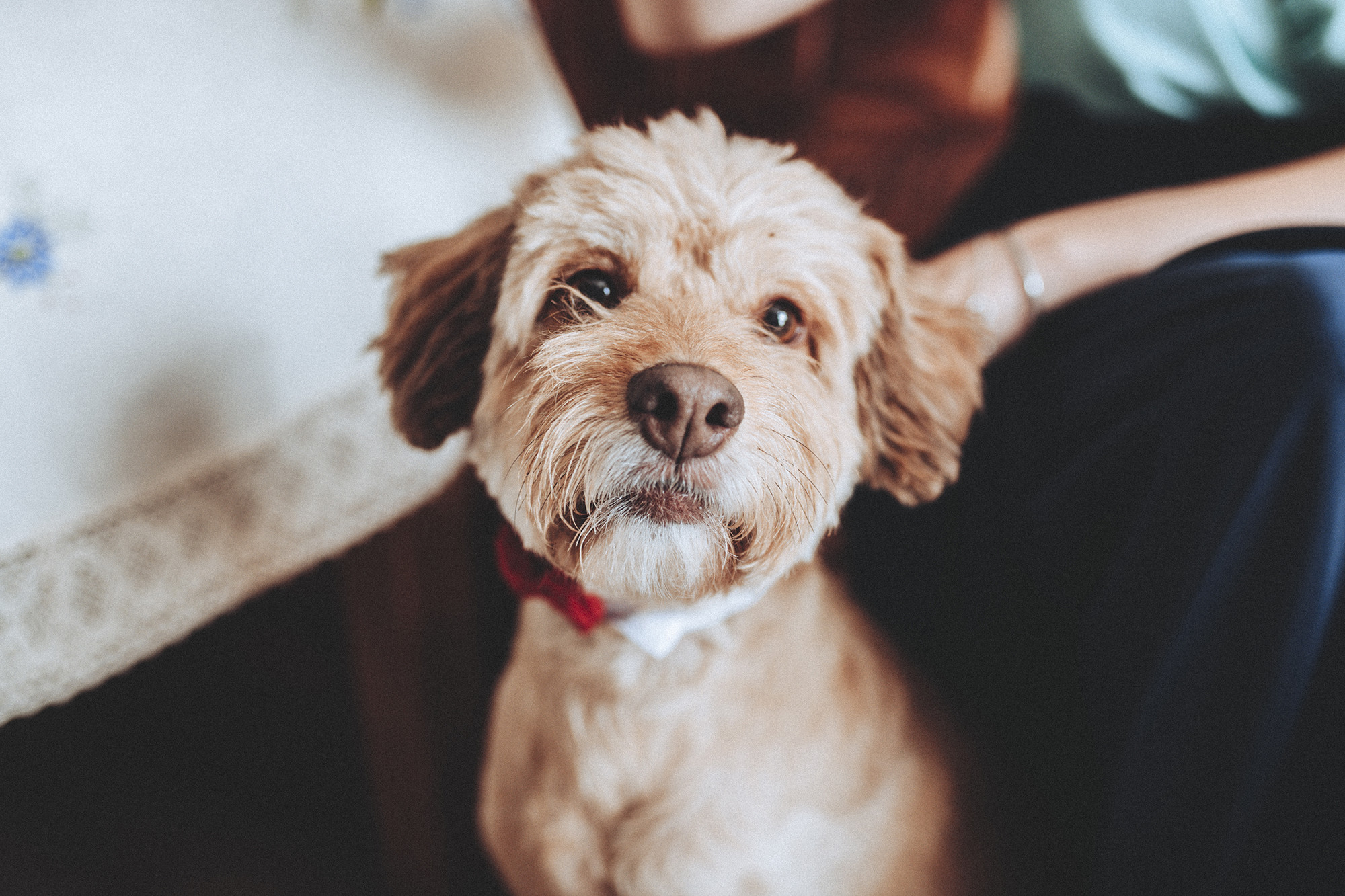 Mercedes y Jesus Boda (259)