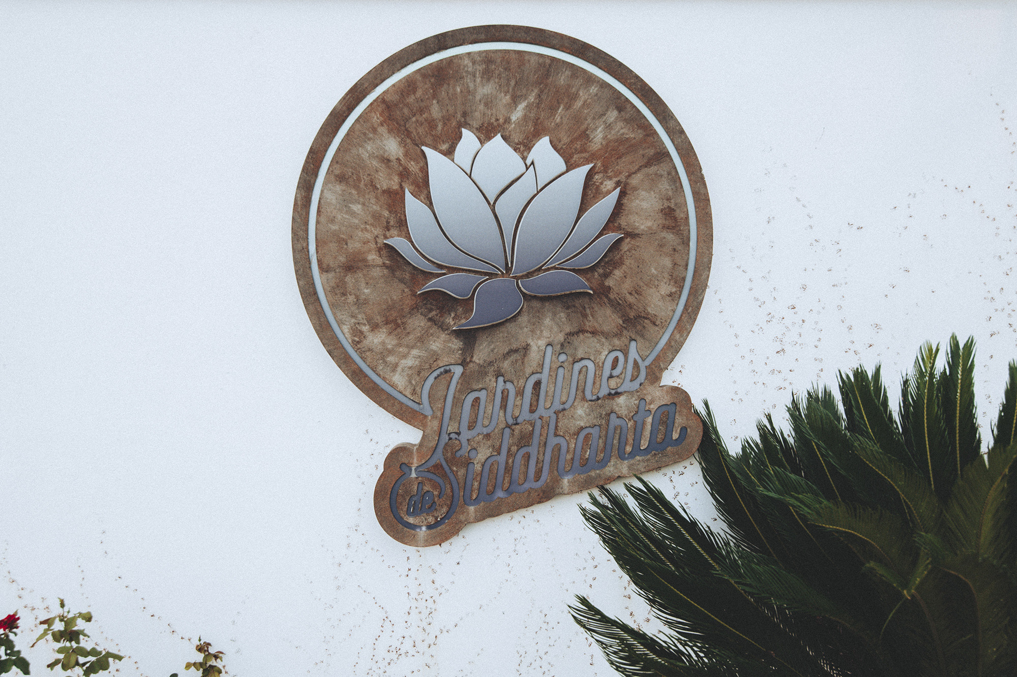 Boda Mari & Alberto (404)