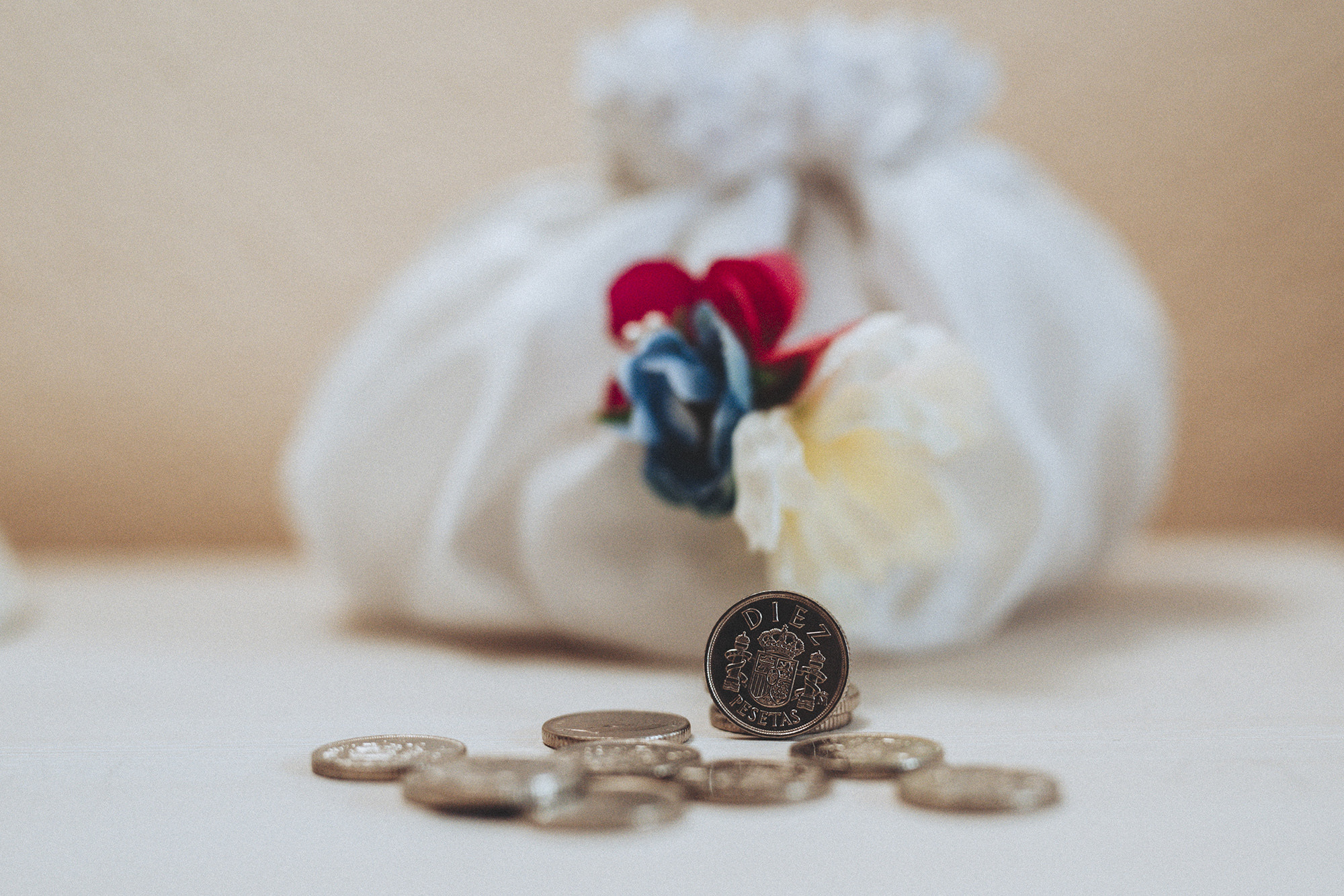 Rocio & Roge Boda (14)