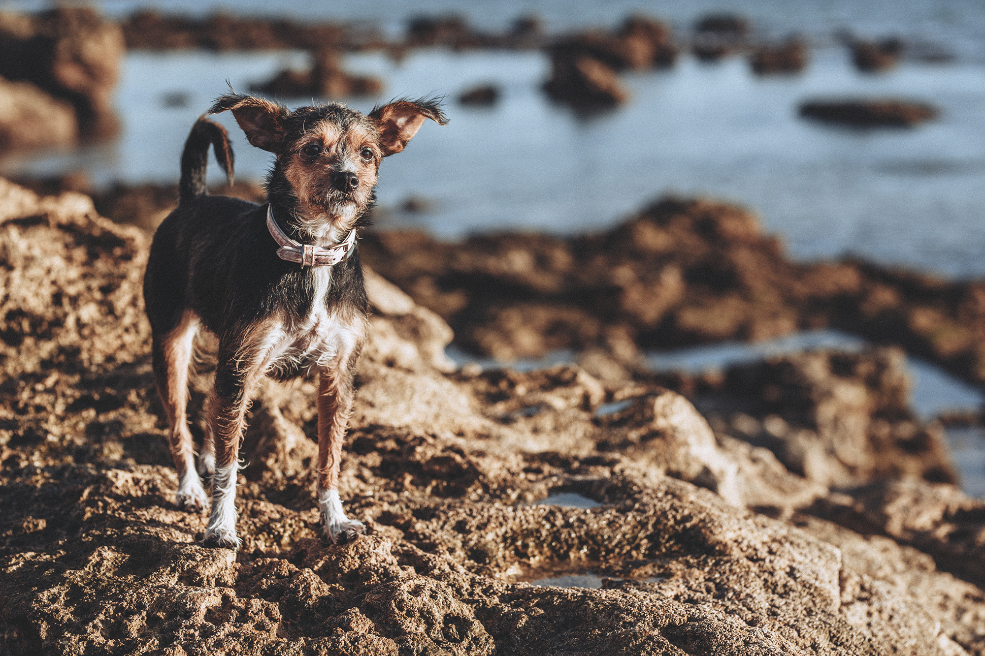 Leonor y Oscar postboda (105)