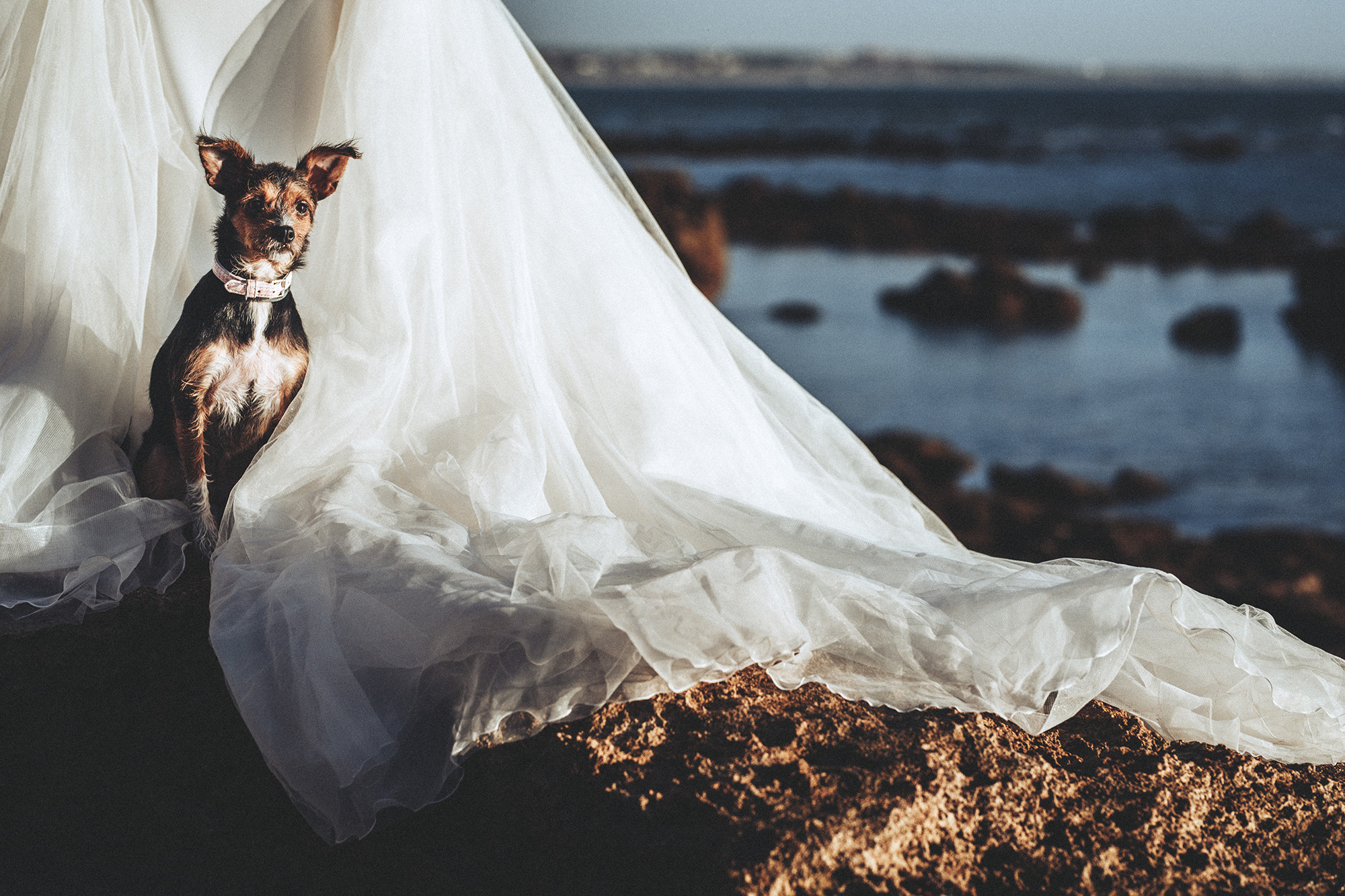 Leonor y Oscar postboda (114)